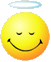 images/emoticons3/angel.gif